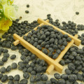 types of big black beans for sale ,6.5mm, black turtkle bean